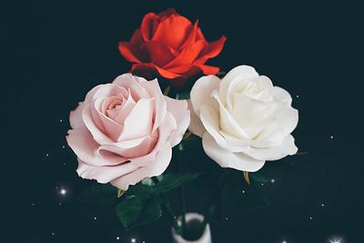 Roses 💐 - Cake by Erika Amelia Ersek
