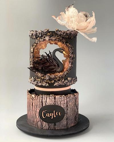 Black Swan - Cake by Dsweetcakery