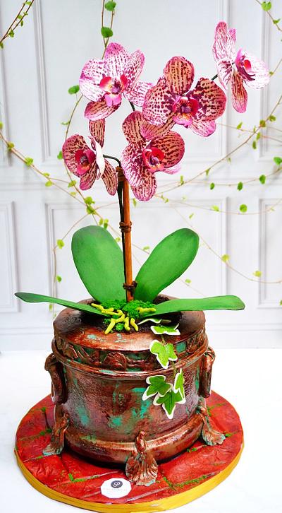 Orchid pot cake - Cake by Paladarte El Salvador