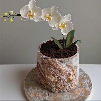 Anniversary Cake with Orchid (Sugar Flower)  - Cake by Make & Bake Türkiye