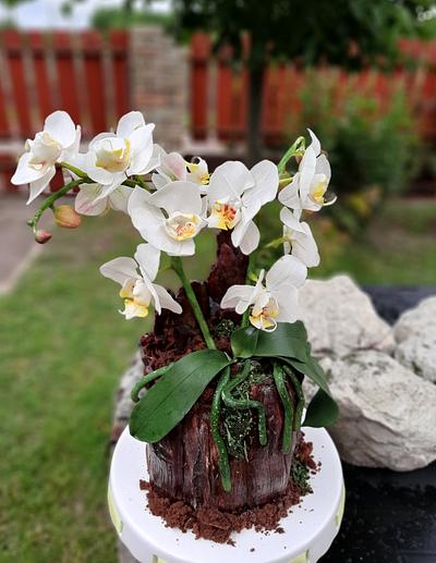 Orchid cake - Cake by Szandra