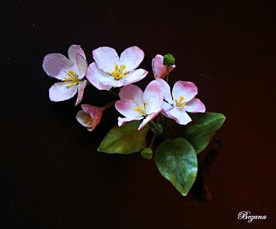 Apple blossoms  from wafer paper - Cake by Zuzana Bezakova