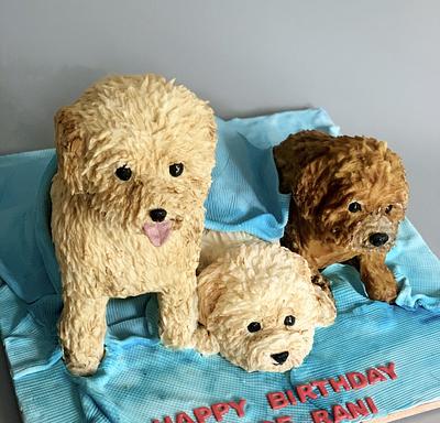 Poodles - Cake by Dsweetcakery