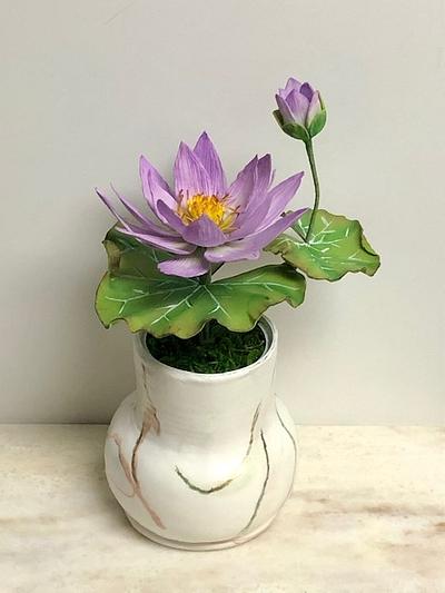 Water lily - Cake by Patricia M