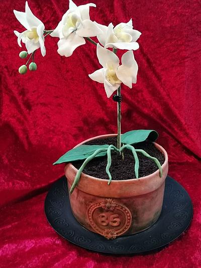 Orchid flowerpot - Cake by Topping Queen by Diana Adler