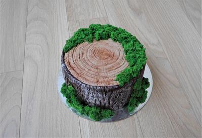 Forest inspiration  - Cake by Janka