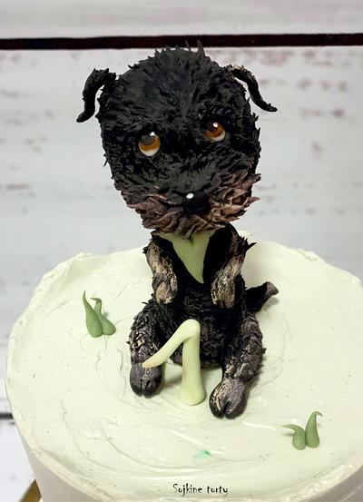 Little dog:) - Cake by SojkineTorty