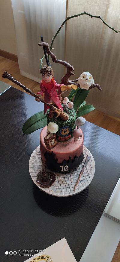 Tarta Harry Potter - Cake by Olga