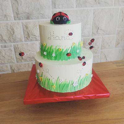 Ladybug - Cake by Jobe