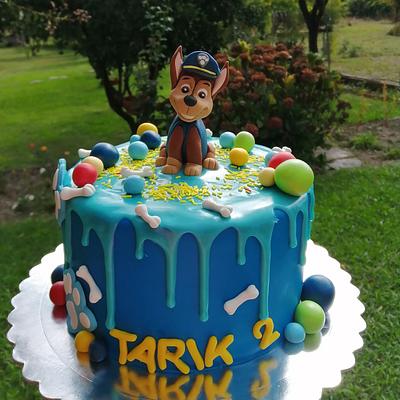 Paw patrol cake - Cake by Torte Panda
