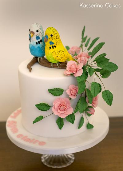 Budgie birthday cake - Cake by Kasserina Cakes
