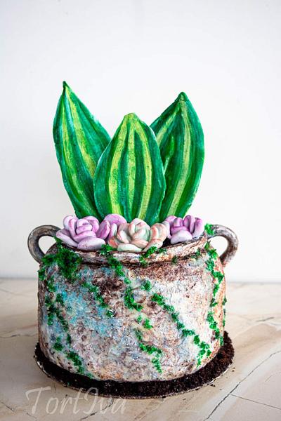 Succulent pot cake  - Cake by TortIva