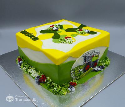 For a small boy  - Cake by Janka