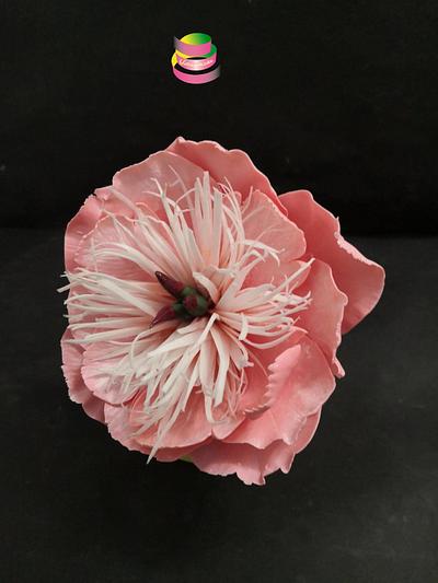 Anemone Peony Flower - Cake by Ruth - Gatoandcake