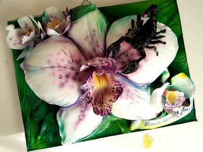 Orchid cake - Cake by Tanya Shengarova