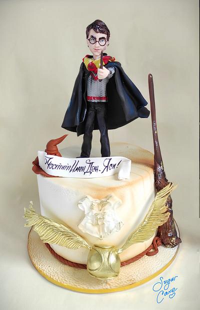 Harry Potter - Cake by Tanya Shengarova
