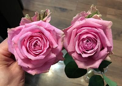 Wafer paper rose vs real rose - Cake by Mina Bakalova