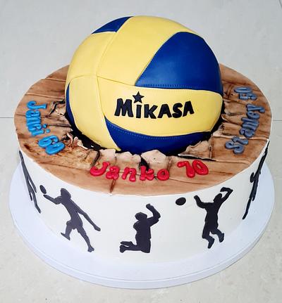 Volleyball cake - Cake by Adriana12