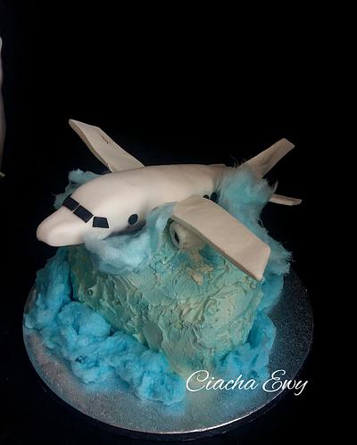 Passenger plane  - Cake by Ewa