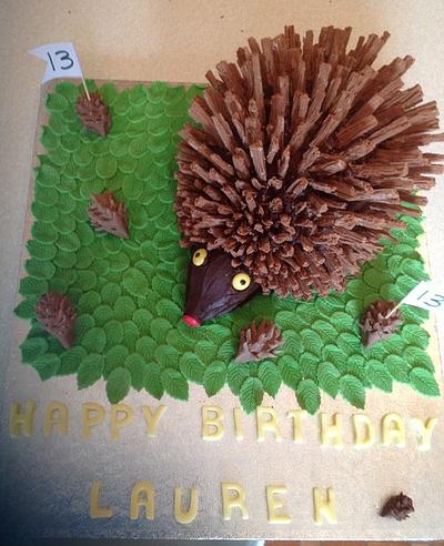 Hedgehog heavenn - Cake by Snookie11
