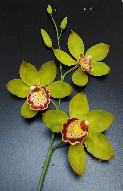 Cattleya orchid branch  - Cake by Darina