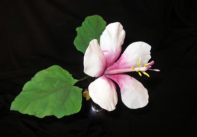 hibiscus - Cake by MELANIASCAKEATELIER