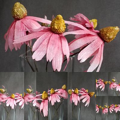Echinacea/ Cone flower  - Cake by Tassik