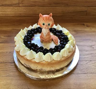Birthday Cheesecake - Cake by Goreti