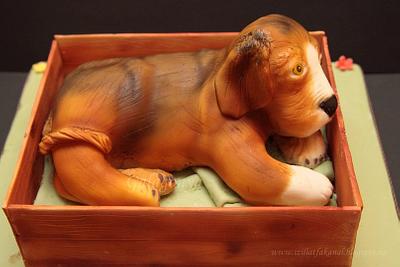 3D doggy cake - Cake by Galagonya