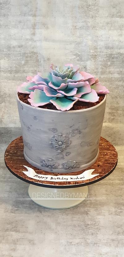 Succulent plant pot Cake - Cake by designed by mani