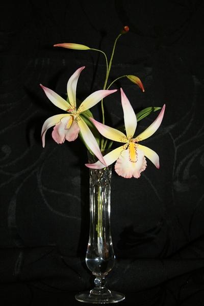 Orchids - Cake by Judy
