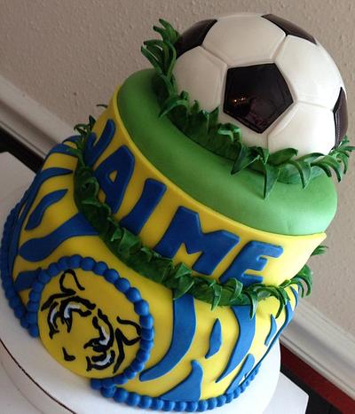 Tigres UANL soccer cake - Cake by Jennifer Duran 