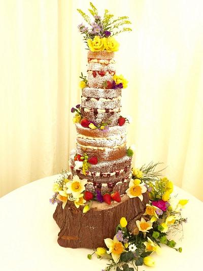 Tickety Boo cakes - naked wedding cake with spring flowers - Cake by Tickety Boo Cakes