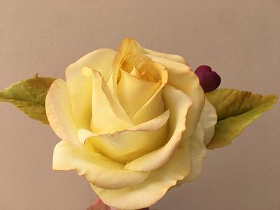 Yellow Rose - Cake by Mariano Camba