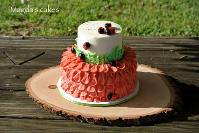 ladybug smash cake - Cake by Magda's cakes