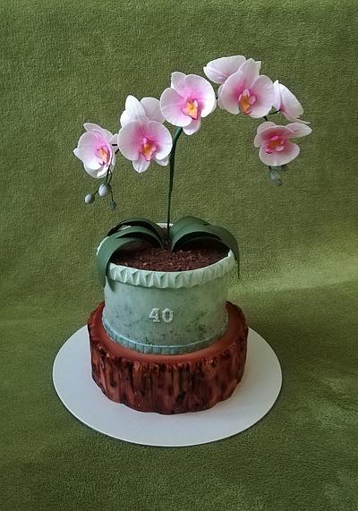 Orchid cake - Cake by MoMa