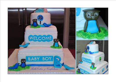 3 Tier Owl & Sky Theme  - Cake by BellaCakes & Confections