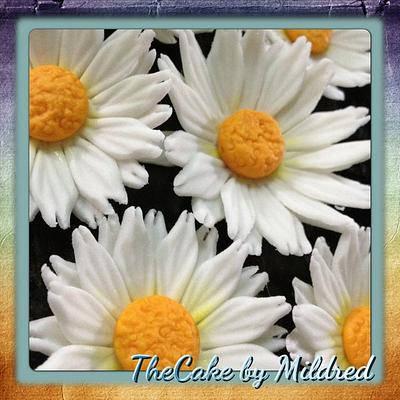 Margaritas / Daisies - Cake by TheCake by Mildred
