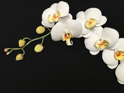 Sugar Phalaenopsis Orchids - Cake by DollysSugarArt