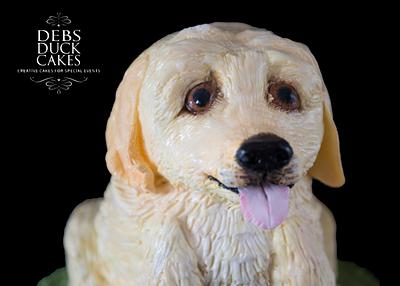 Labrador Puppy Cake - Cake by DebsDuckCakes