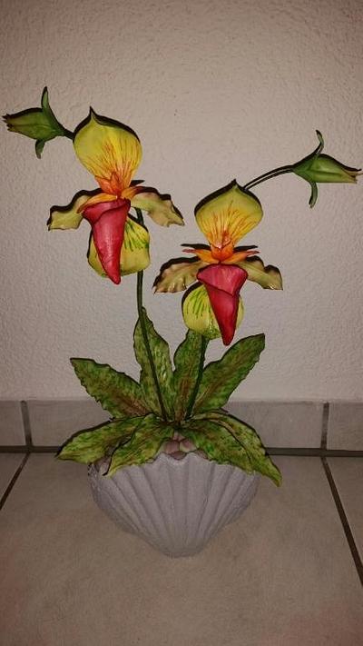 Lady Slipper Orchid... - Cake by Weys Cakes