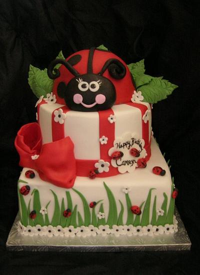 Lady bug cake - Cake by Mojo3799
