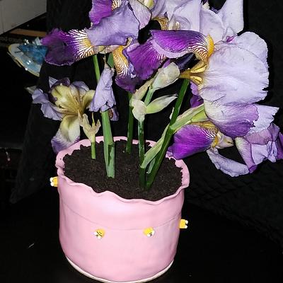 Flower pot cake - Cake by Tanisha James