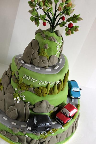 Hillside with boy racer cars - Cake by Zoe's Fancy Cakes