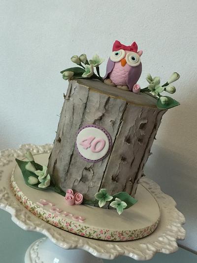 Owl cake  - Cake by Shirley Jones 