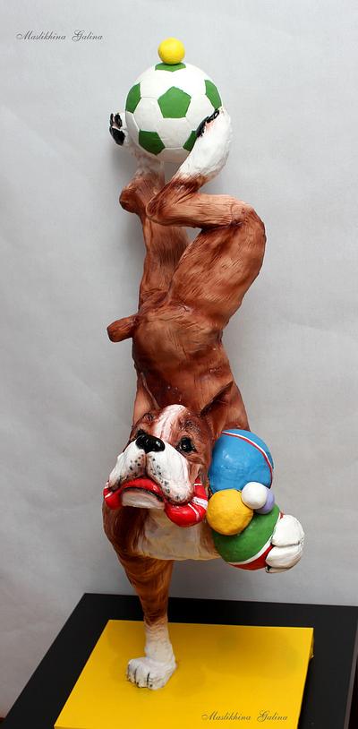 3D cake. Boxer dog - Cake by Galina Maslikhina