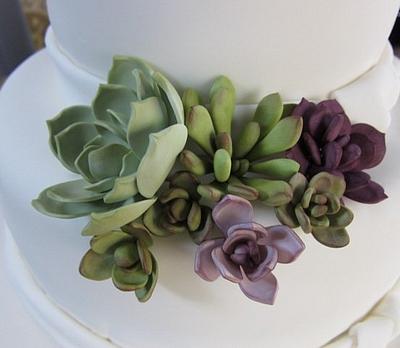 Sugar Succulents - Cake by Petalsweet