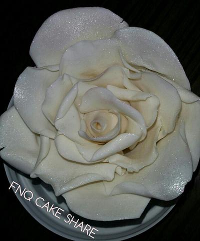 Unwired open Rose  - Cake by FNQ Cake Share