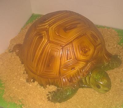 tortoise cake - Cake by Louise's  kitchen (Louise gibson)