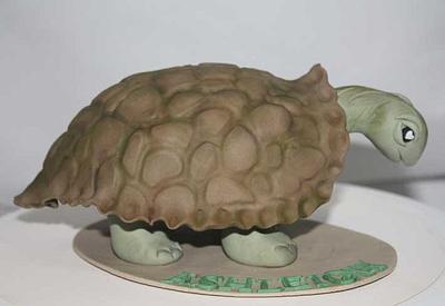Galapagos Tortoise - Cake by Ciccio 